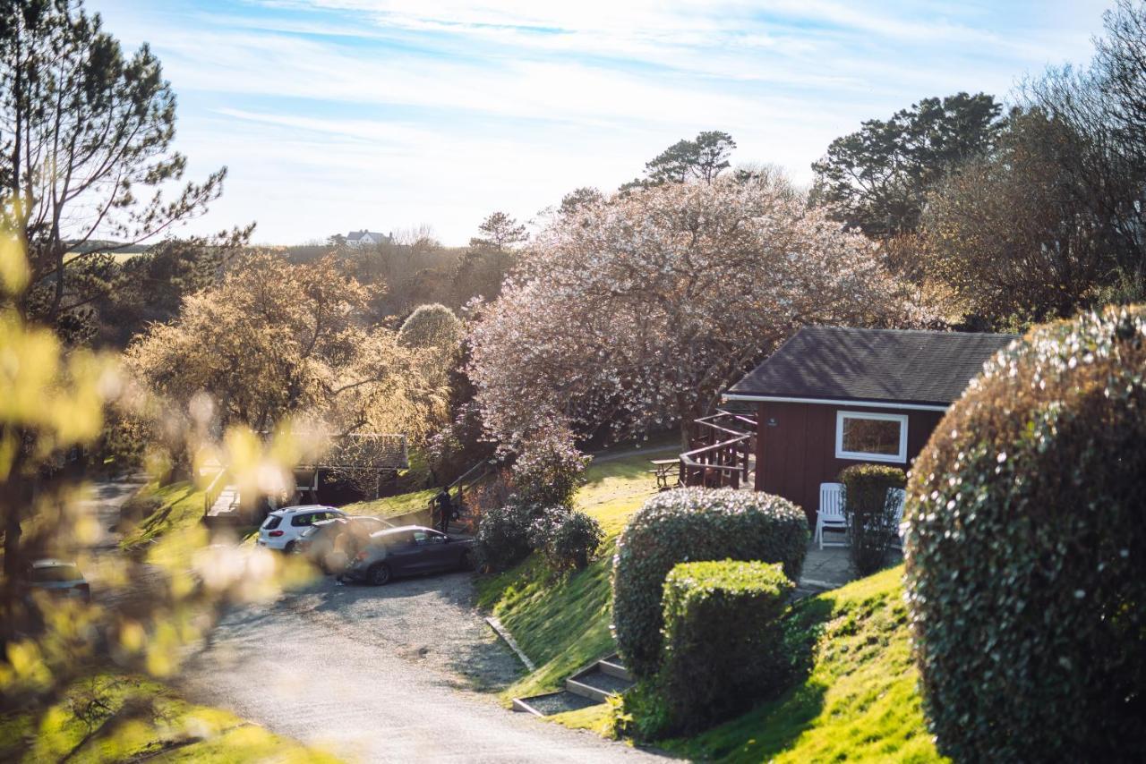 Timber Hill Self Catering Cedar Lodges บรอดเฮเวน ภายนอก รูปภาพ